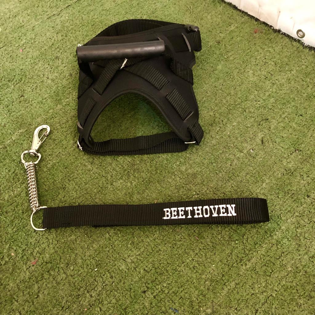 Colete com Guia Retrátil para Cães para Passeios com Liberdade