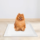 Tapete Higiênico para Spitz