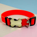 IDPet Collar™ -  Coleira Personalizada para Cães