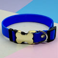IDPet Collar™ -  Coleira Personalizada para Cães