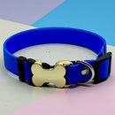 IDPet Collar™ -  Coleira Personalizada para Cães