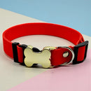 IDPet Collar™ -  Coleira Personalizada para Cães
