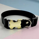 IDPet Collar™ -  Coleira Personalizada para Cães