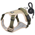 Border ComfortWalk™ -  Colete de Passeio para Border Collie
