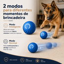 Bolinha Foco Pastor™ | Brinquedo Interativo para Pastor Alemão