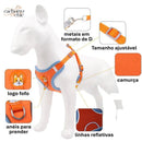 Colete Confort Pro – Passeios Seguros para Shiht-Zus