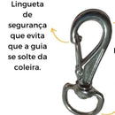 Combo Implacável – Guia Reforçada + Enforcador de Aço para Rottweiler