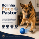Bolinha Foco Pastor™ | Brinquedo Interativo para Pastor Alemão