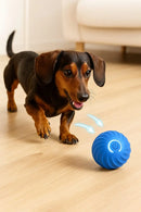 🔥 Bolinha de brinquedo interativa - Premium™ 🔥