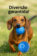 🔥 Bolinha de brinquedo interativa - Premium™ 🔥