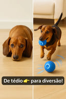 🔥 Bolinha de brinquedo interativa - Premium™ 🔥