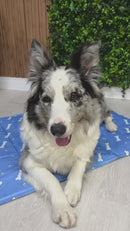 Tapete Refrescante Pet Gelado Tamanho M 90x60cm Dias Quentes Verão Cachorros Gatos Frescor MecG Pet