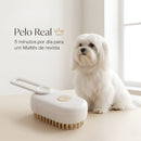 Pelo Real 👑 - 5 minutos por dia para um Maltês de revista