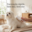 Pelo Real 👑 - 5 minutos por dia para um Maltês de revista