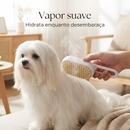 Pelo Real 👑 - 5 minutos por dia para um Maltês de revista