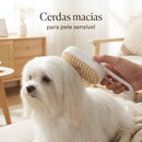 Pelo Real 👑 - 5 minutos por dia para um Maltês de revista