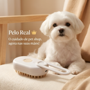 Pelo Real 👑 - 5 minutos por dia para um Maltês de revista