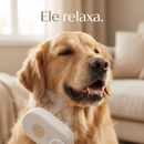 Escova Vaporizada SoftSteam para Goldens