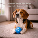 🔥 Bolinha Interativa Anti-Tédio para Beagle - Flex Pro™  🔥