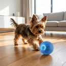 York Spark — Menos tédio. Mais movimento