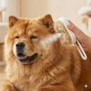 Chow-Care™ - Escova Vaporizada para Chow Chow (Remove Subpelo)